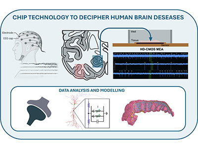 Per il macrosettore Scienze della vita focus su epilessia, crescita e neurosviluppo in bambini in età prescolare, dell’editing genico delle cellule staminali